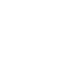 SBOS_1712735580.webp